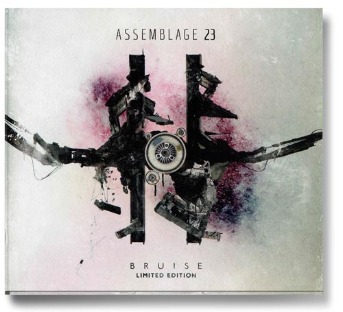 a0129_Assemblage23_bruise_ltd_edition