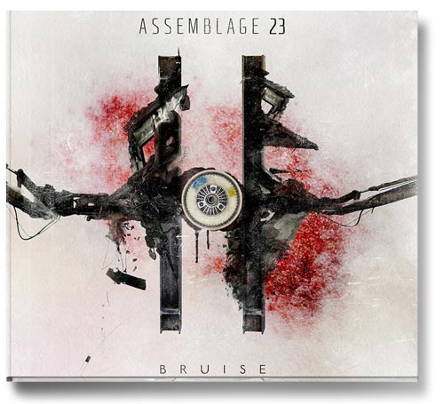 a0129_Assemblage23_bruise