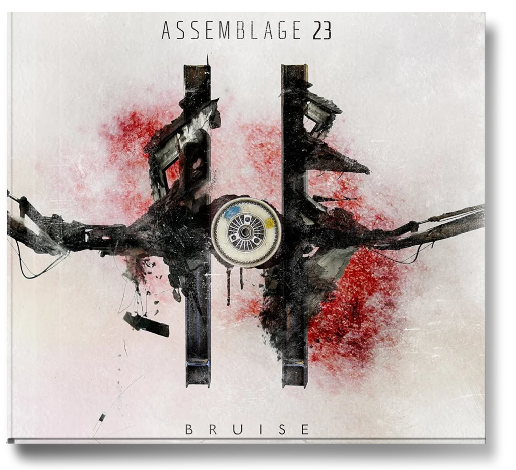 Assemblage 23 – Bruise