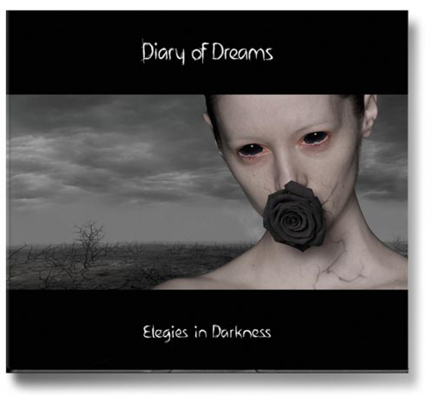a0136_dod_elegies_in_darkness