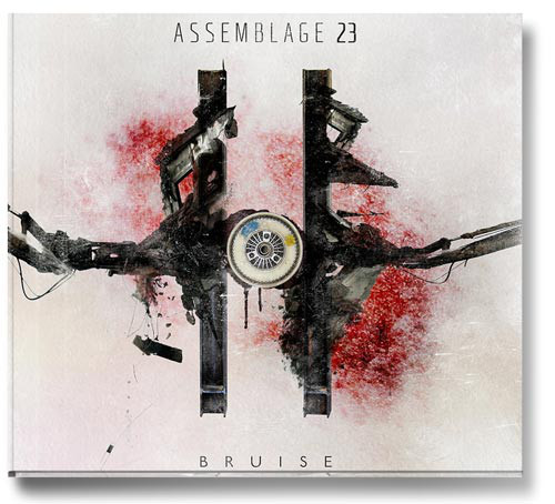 a0129_Assemblage23_bruise